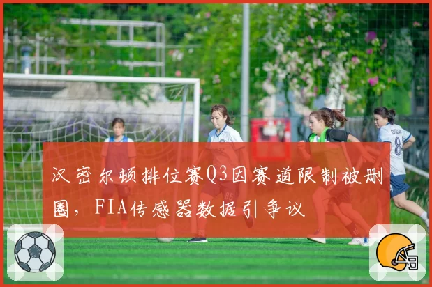 汉密尔顿排位赛Q3因赛道限制被删圈，FIA传感器数据引争议