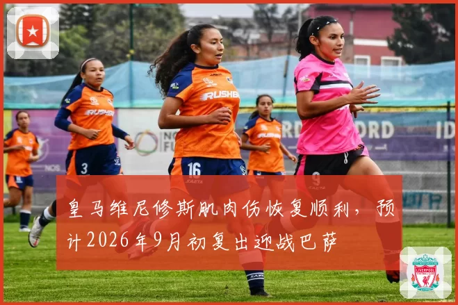 皇马维尼修斯肌肉伤恢复顺利，预计2026年9月初复出迎战巴萨